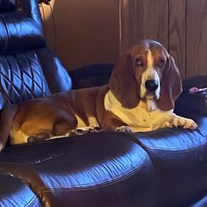 Meet your Posher, Jackie